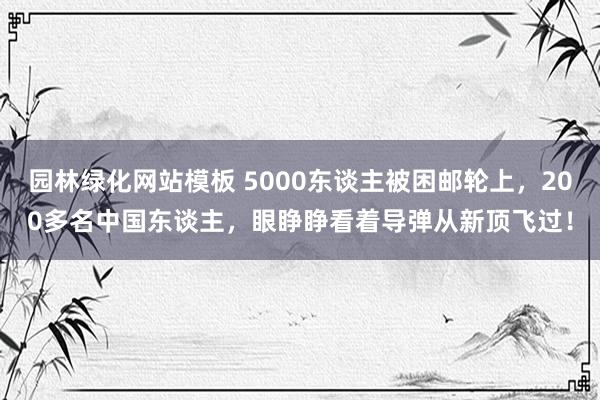 园林绿化网站模板 5000东谈主被困邮轮上，200多名中国东谈主，眼睁睁看着导弹从新顶飞过！