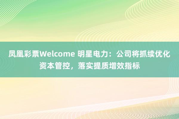 凤凰彩票Welcome 明星电力：公司将抓续优化资本管控，落实提质增效指标