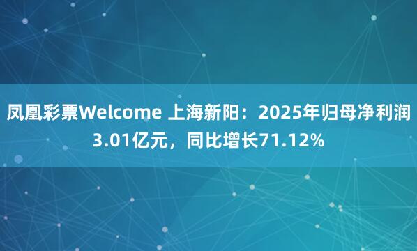 凤凰彩票Welcome 上海新阳：2025年归母净利润3.01亿元，同比增长71.12%