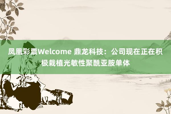 凤凰彩票Welcome 鼎龙科技：公司现在正在积极栽植光敏性聚酰亚胺单体