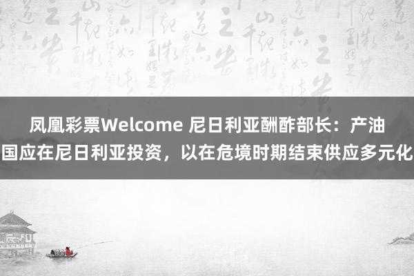 凤凰彩票Welcome 尼日利亚酬酢部长：产油国应在尼日利亚投资，以在危境时期结束供应多元化
