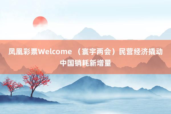 凤凰彩票Welcome （寰宇两会）民营经济撬动中国销耗新增量