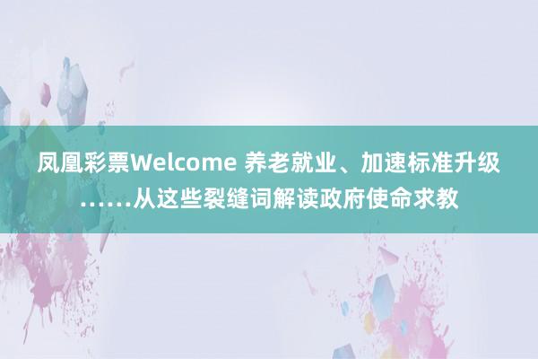 凤凰彩票Welcome 养老就业、加速标准升级……从这些裂缝词解读政府使命求教