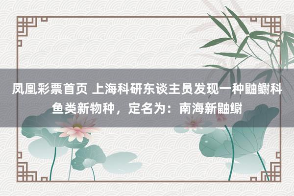 凤凰彩票首页 上海科研东谈主员发现一种鼬鳚科鱼类新物种，定名为：南海新鼬鳚