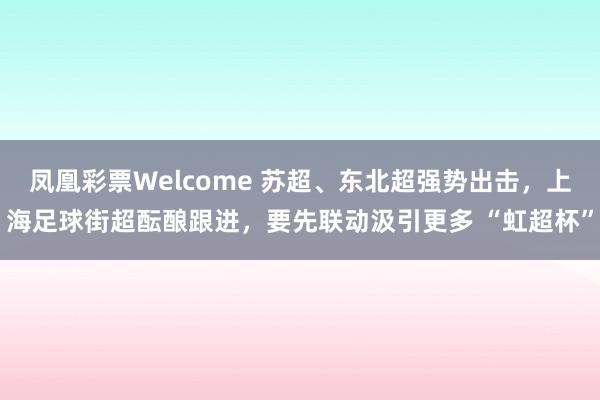 凤凰彩票Welcome 苏超、东北超强势出击，上海足球街超酝酿跟进，要先联动汲引更多 “虹超杯”