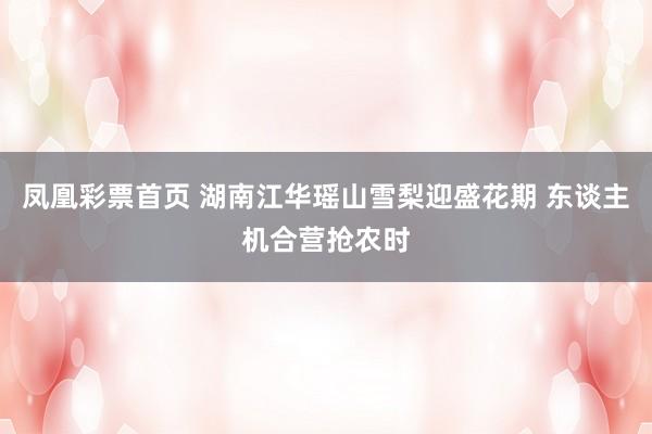 凤凰彩票首页 湖南江华瑶山雪梨迎盛花期 东谈主机合营抢农时