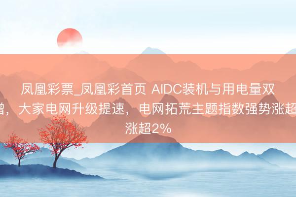 凤凰彩票_凤凰彩首页 AIDC装机与用电量双高增，大家电网升级提速，电网拓荒主题指数强势涨超2%