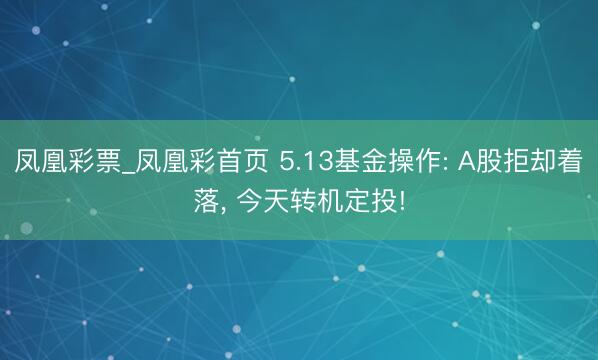 凤凰彩票_凤凰彩首页 5.13基金操作: A股拒却着落， 今天转机定投!