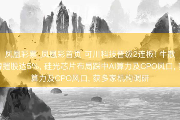 凤凰彩票_凤凰彩首页 可川科技晋级2连板! 牛散屠文斌眷属举牌握股达5%， 硅光芯片布局踩中AI算力及CPO风口， 获多家机构调研