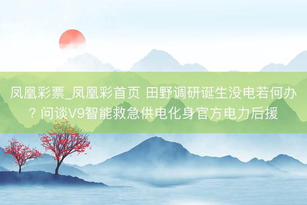 凤凰彩票_凤凰彩首页 田野调研诞生没电若何办? 问谈V9智能救急供电化身官方电力后援