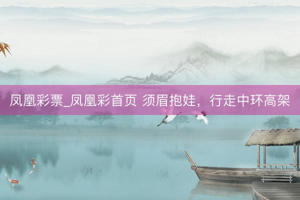 凤凰彩票_凤凰彩首页 须眉抱娃，行走中环高架