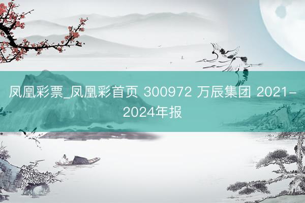 凤凰彩票_凤凰彩首页 300972 万辰集团 2021-2024年报
