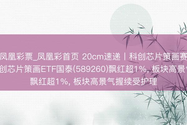 凤凰彩票_凤凰彩首页 20cm速递丨科创芯片策画赛说念上扬， 科创芯片策画ETF国泰(589260)飘红超1%， 板块高景气握续受护理