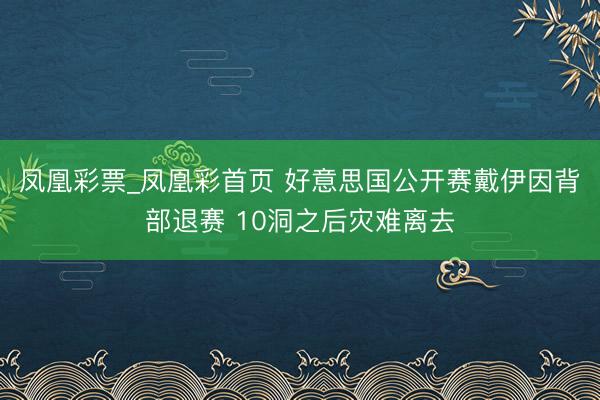 凤凰彩票_凤凰彩首页 好意思国公开赛戴伊因背部退赛 10洞之后灾难离去